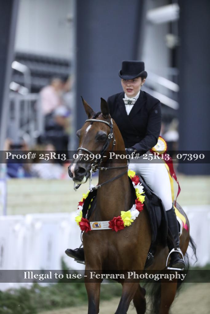 Proof 25R13_07390