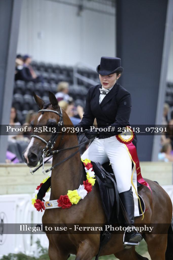 Proof 25R13_07391