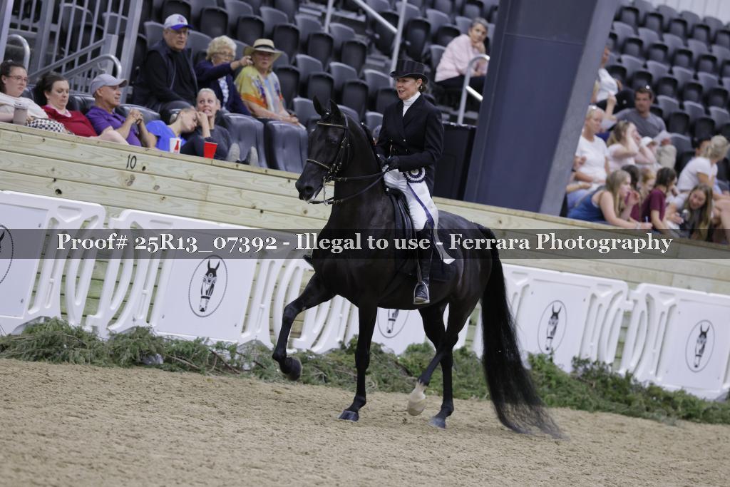 Proof 25R13_07392