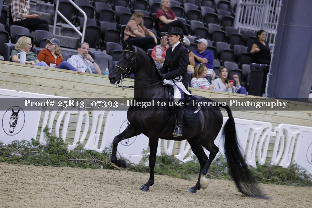 Proof 25R13_07393