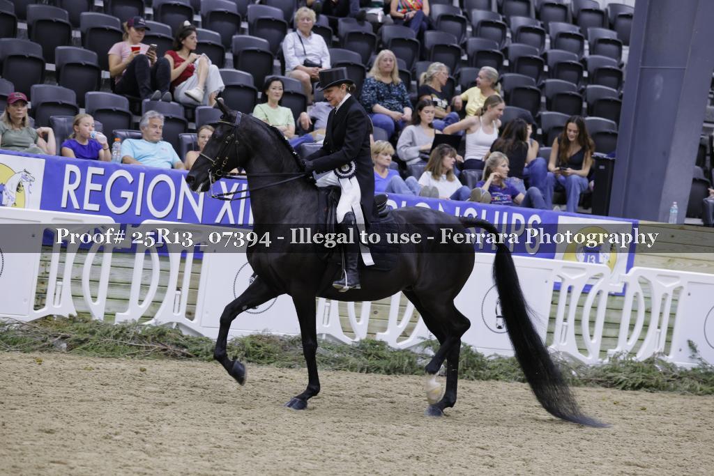 Proof 25R13_07394