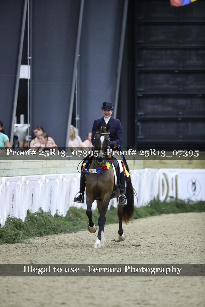 Proof 25R13_07395