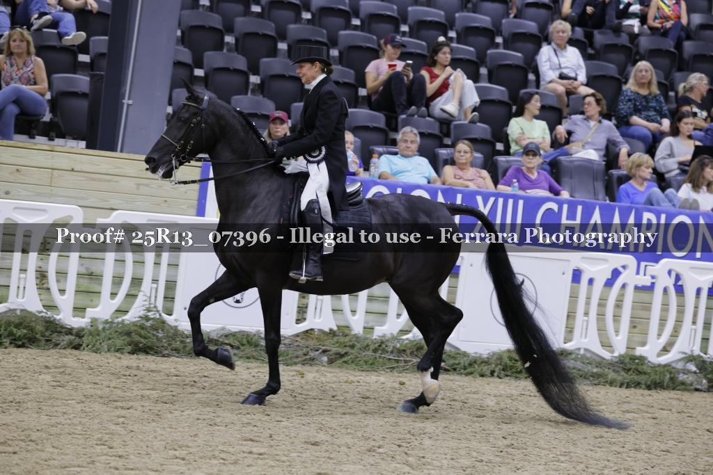 Proof 25R13_07396
