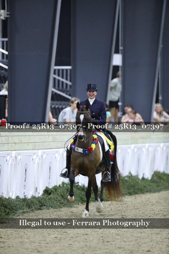 Proof 25R13_07397