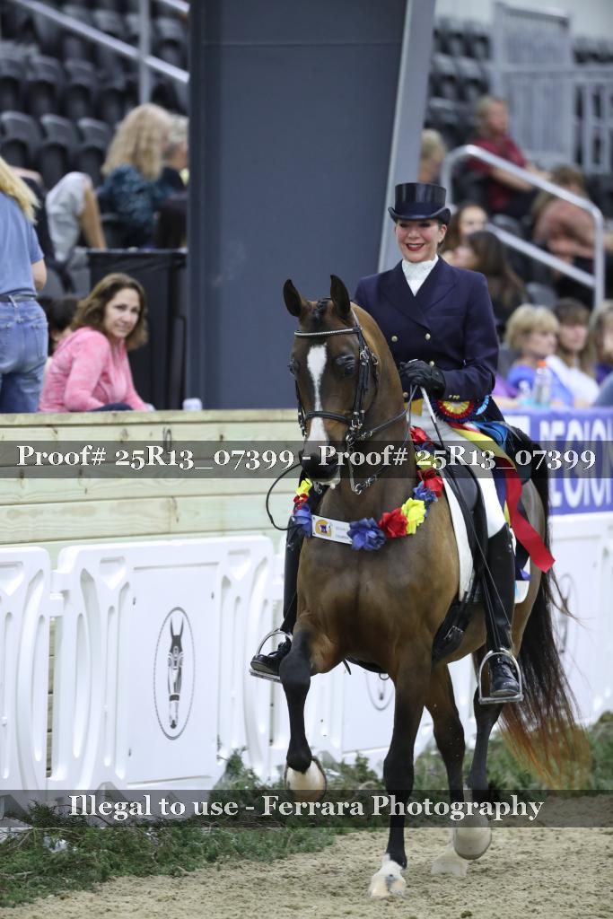Proof 25R13_07399