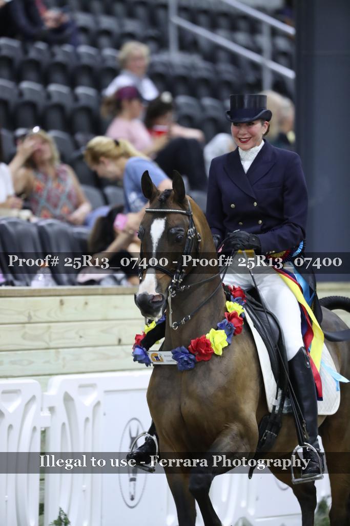 Proof 25R13_07400