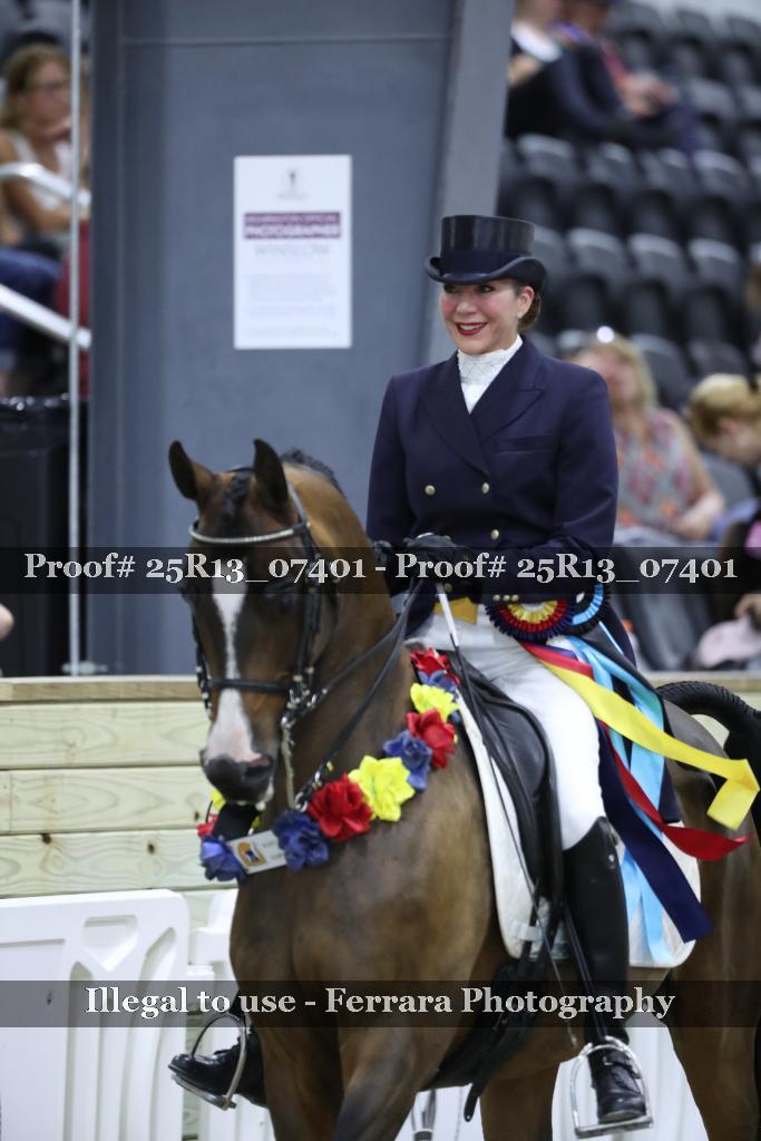 Proof 25R13_07401