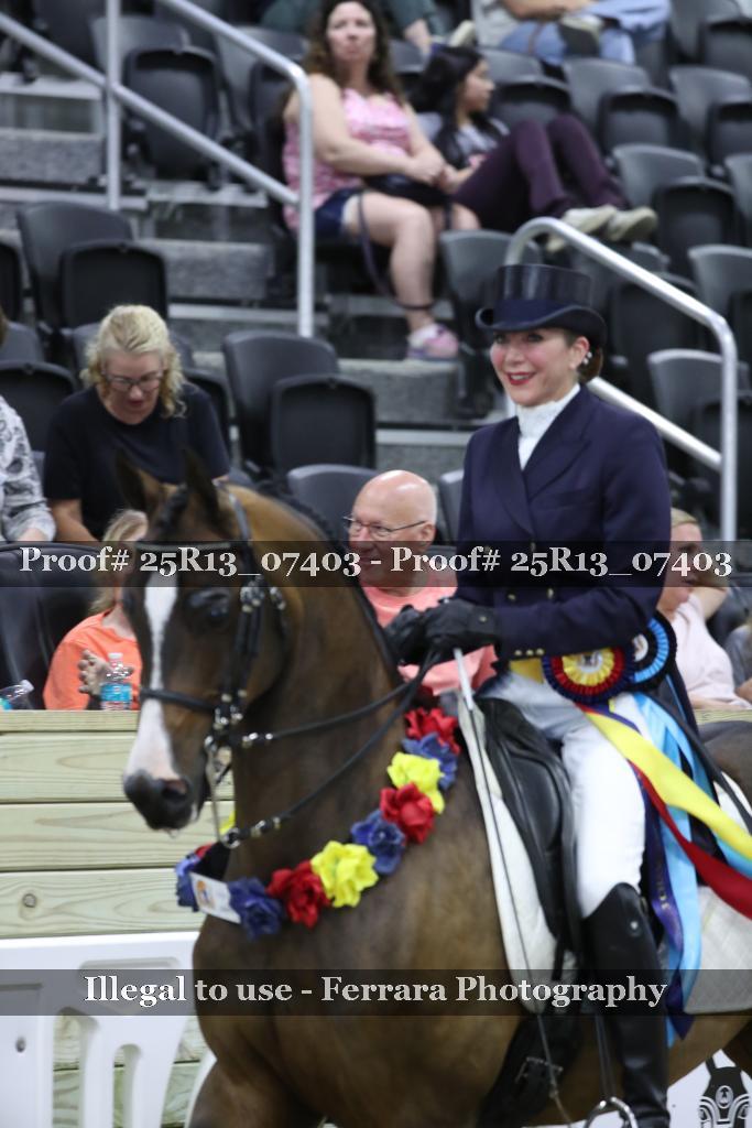 Proof 25R13_07403