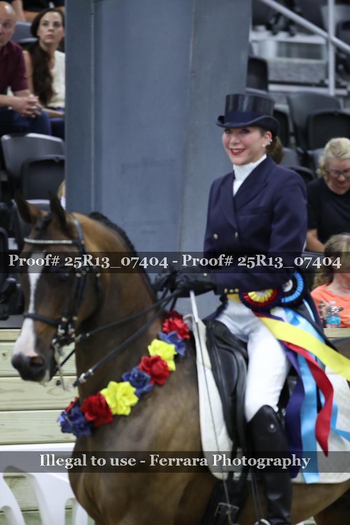 Proof 25R13_07404