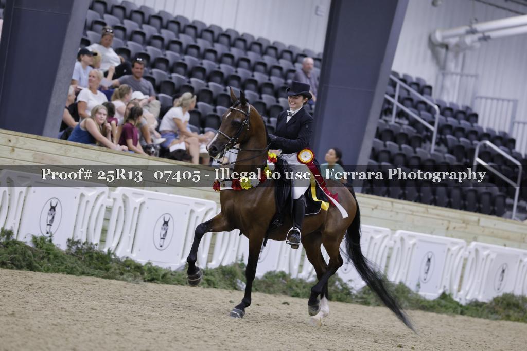 Proof 25R13_07405