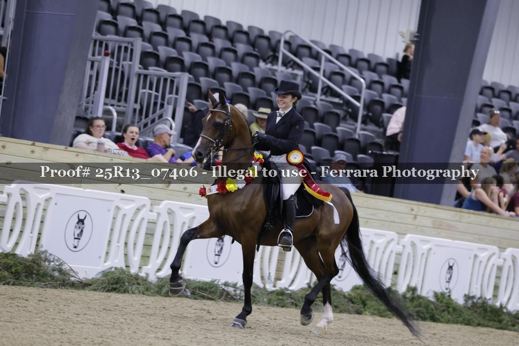 Proof 25R13_07406
