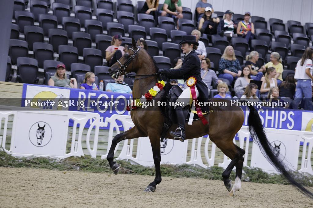 Proof 25R13_07407