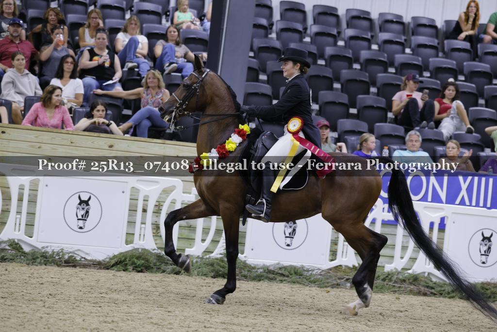 Proof 25R13_07408