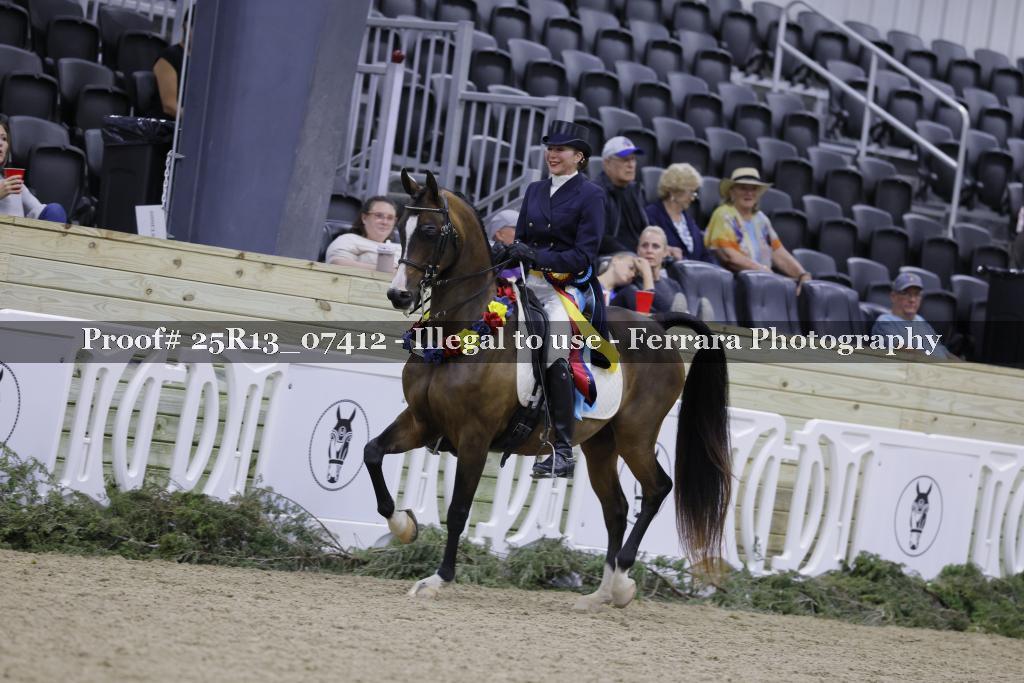 Proof 25R13_07412