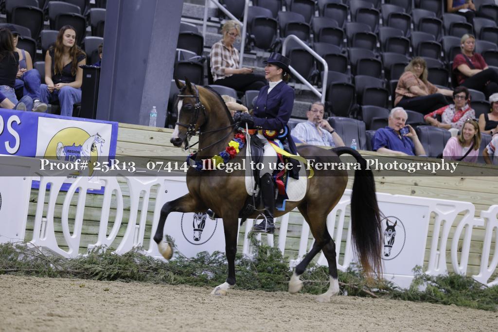 Proof 25R13_07414