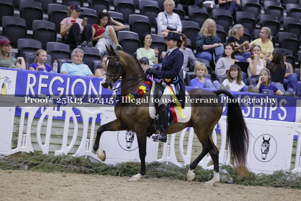 Proof 25R13_07415