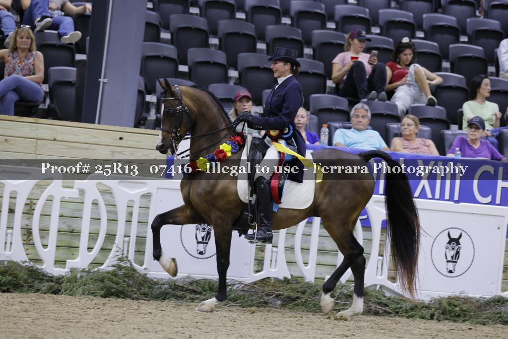 Proof 25R13_07416