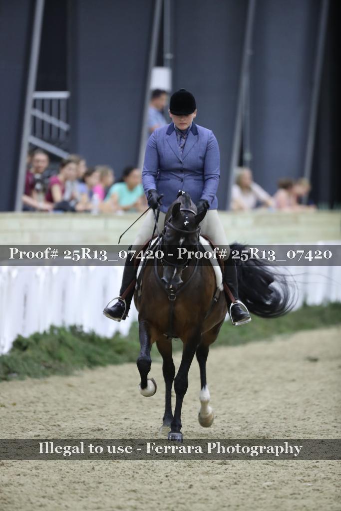 Proof 25R13_07420