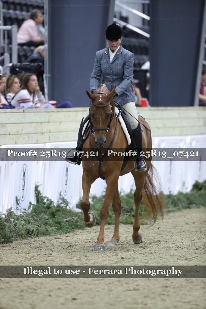 Proof 25R13_07421