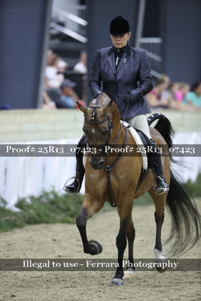 Proof 25R13_07423
