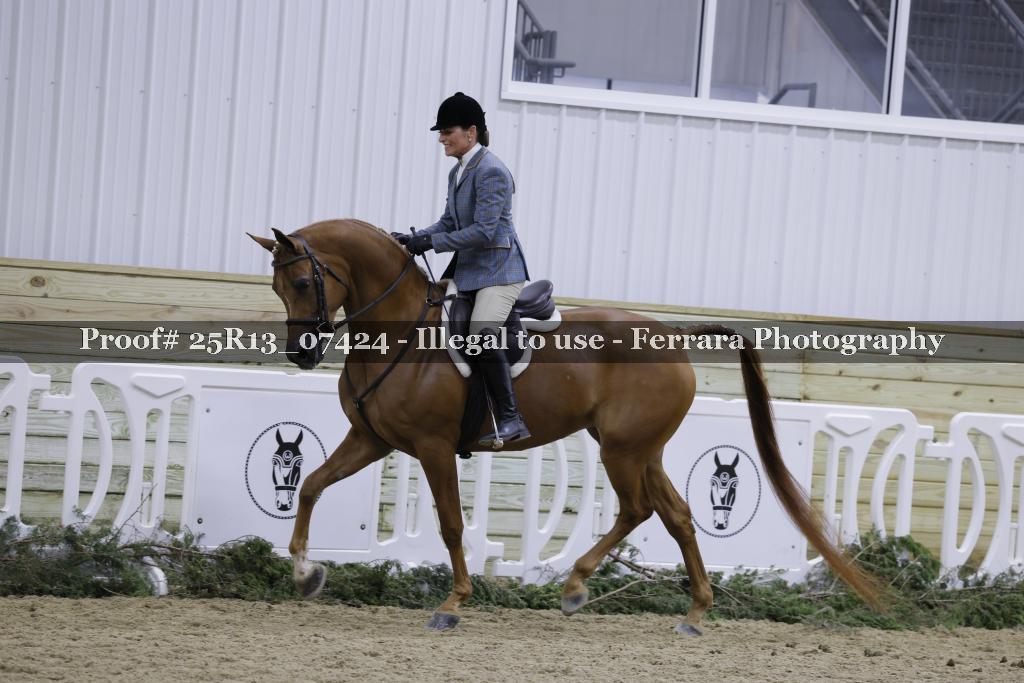 Proof 25R13_07424