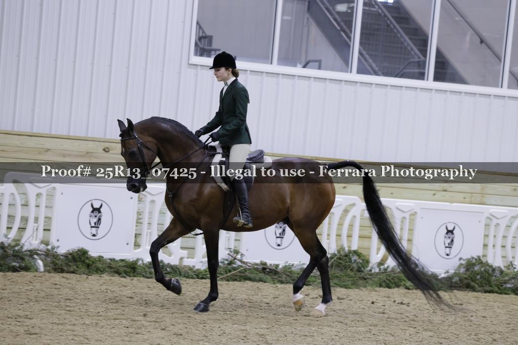 Proof 25R13_07425