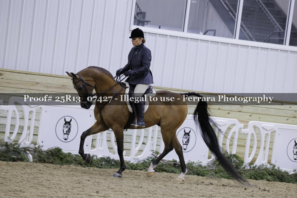 Proof 25R13_07427
