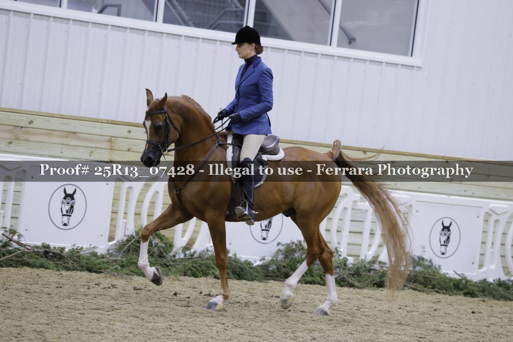 Proof 25R13_07428