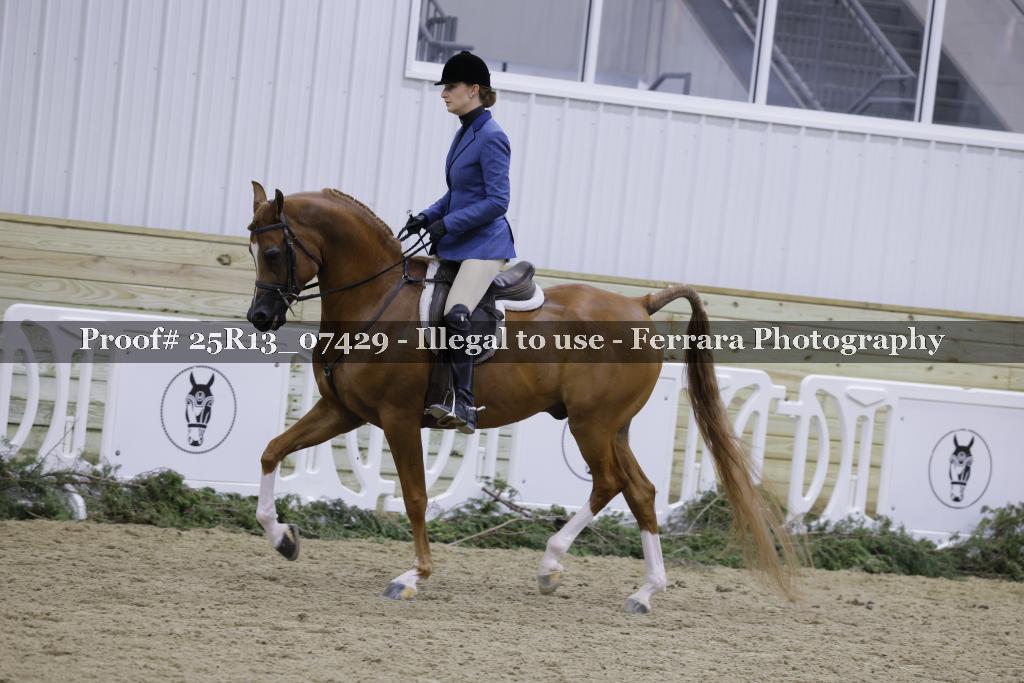 Proof 25R13_07429