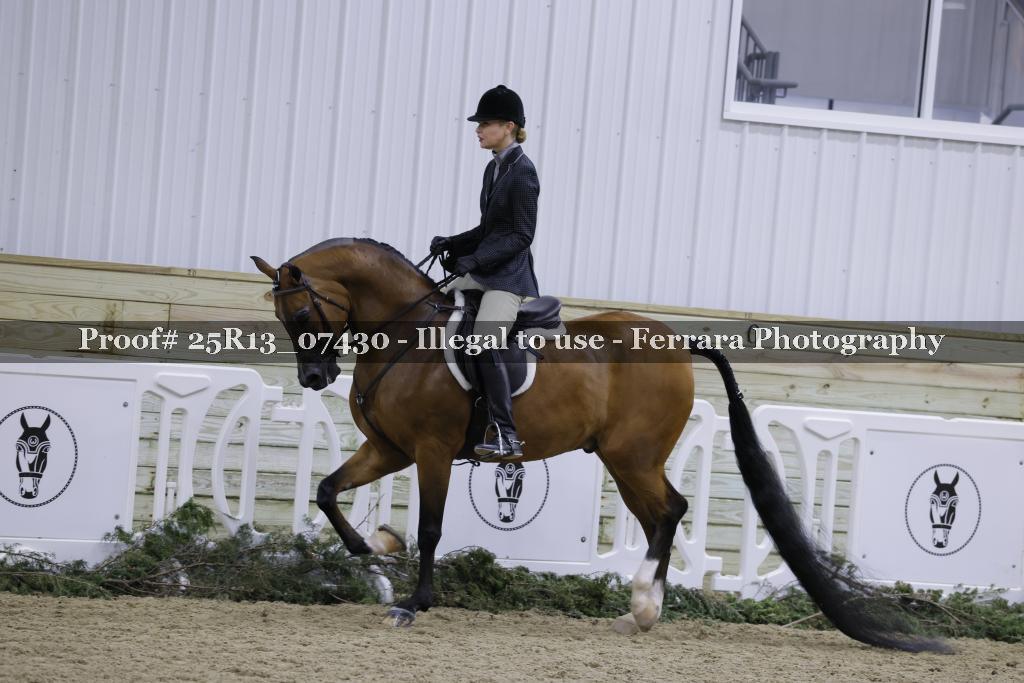 Proof 25R13_07430