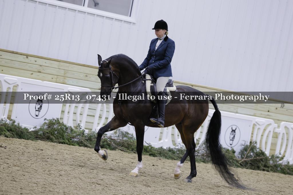 Proof 25R13_07431