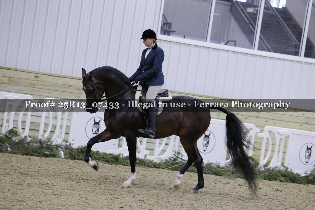 Proof 25R13_07433