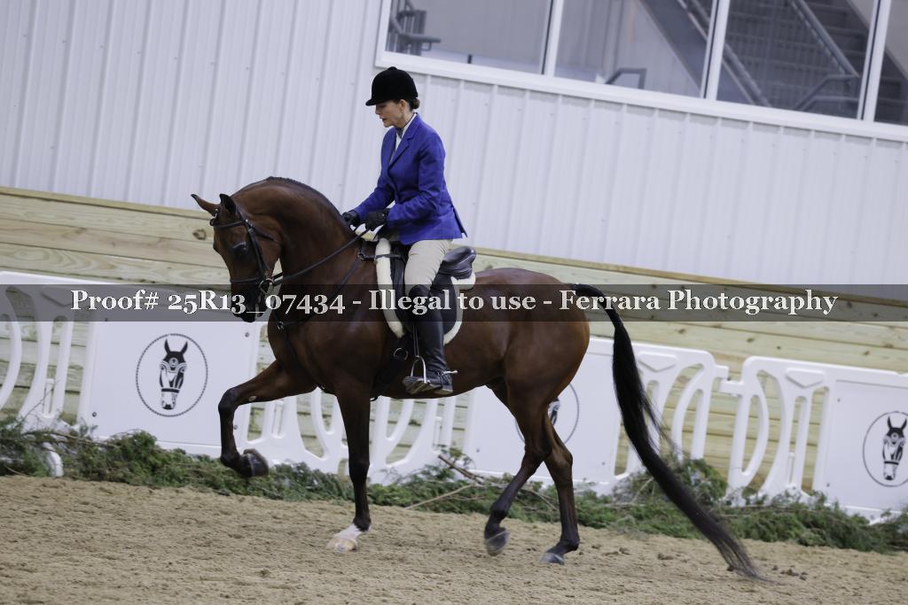 Proof 25R13_07434