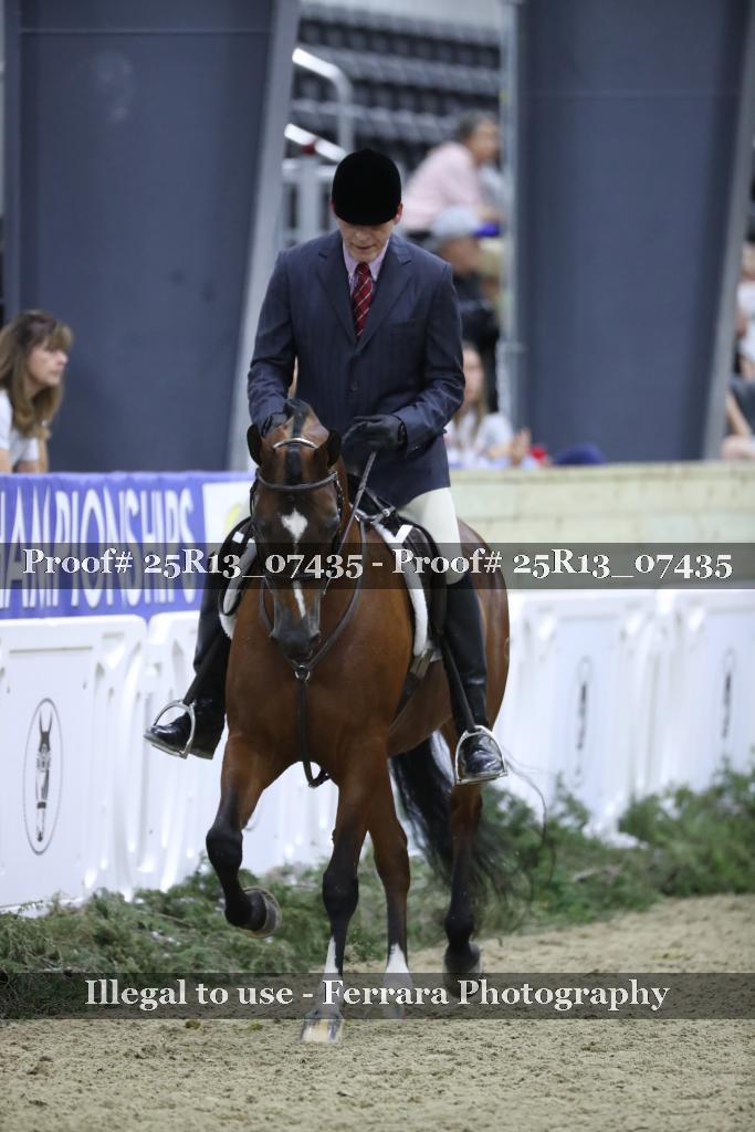 Proof 25R13_07435