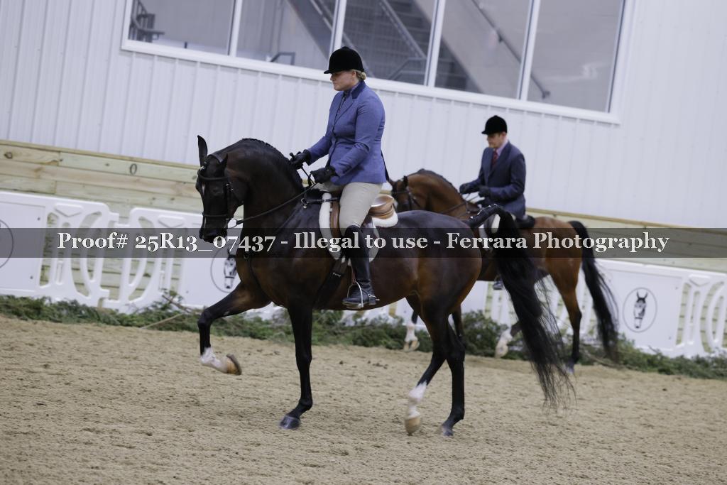 Proof 25R13_07437
