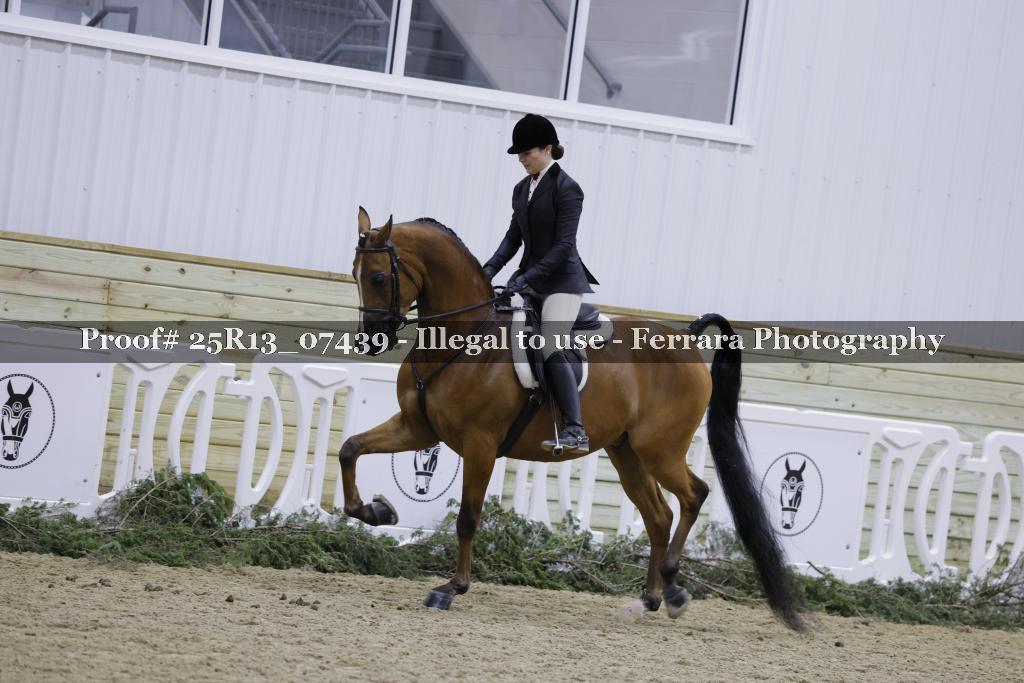 Proof 25R13_07439