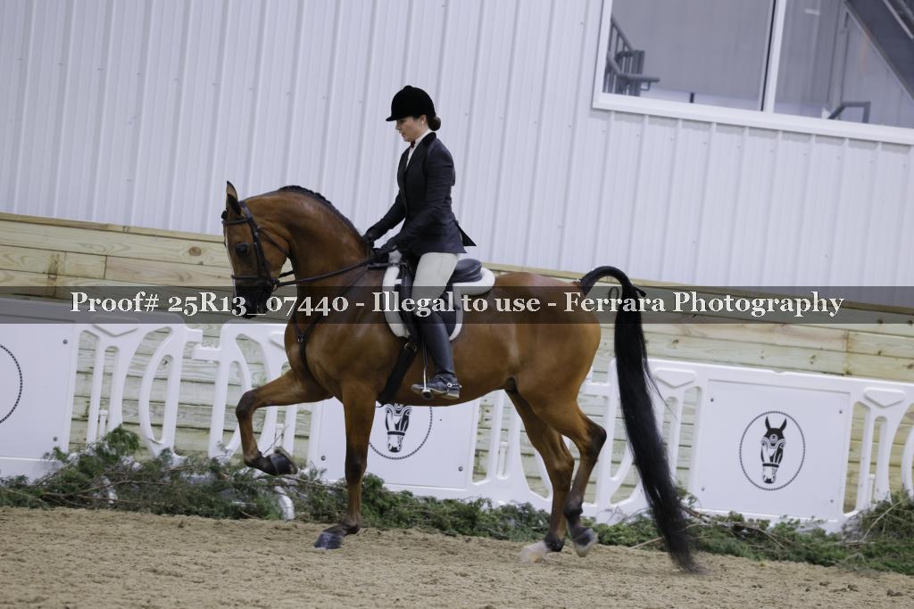 Proof 25R13_07440