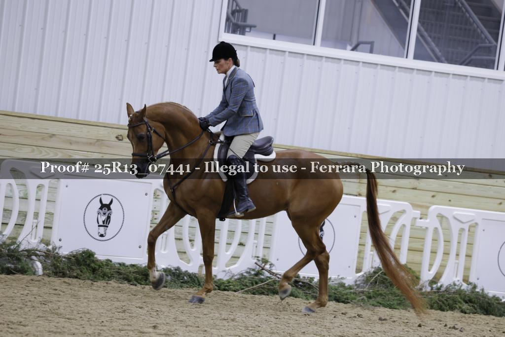 Proof 25R13_07441