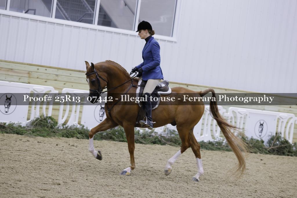 Proof 25R13_07442