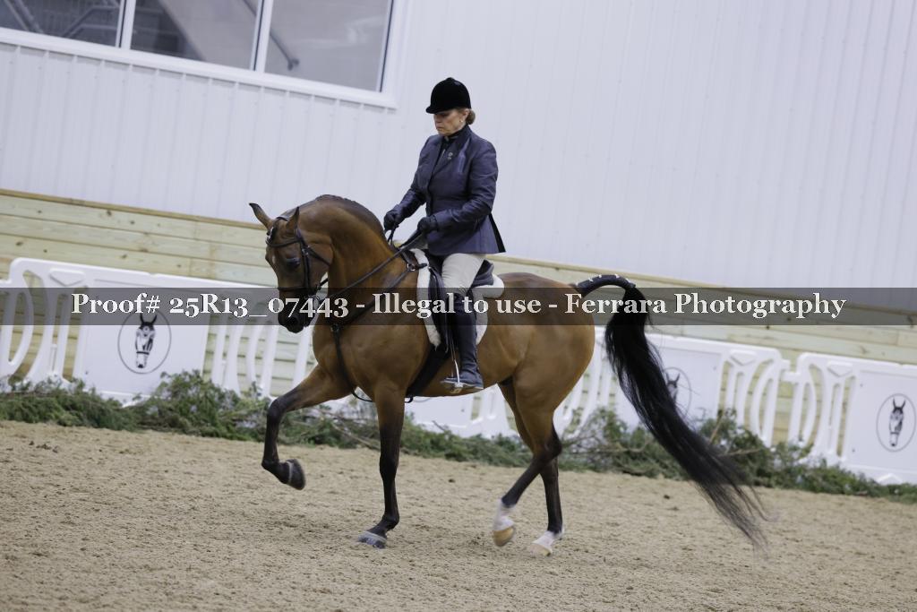 Proof 25R13_07443