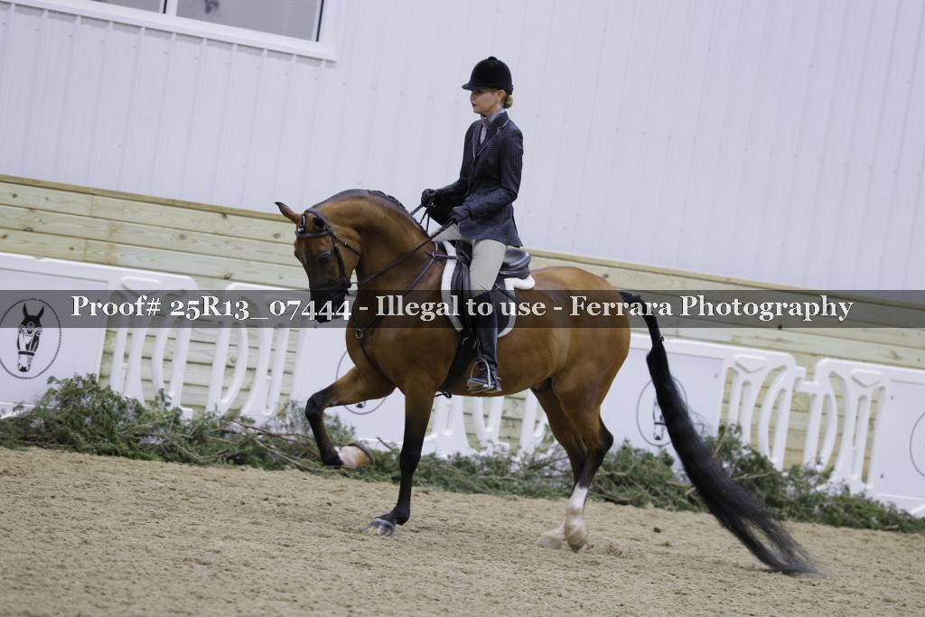 Proof 25R13_07444