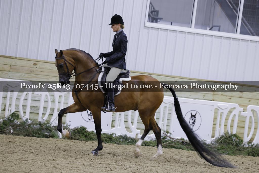 Proof 25R13_07445