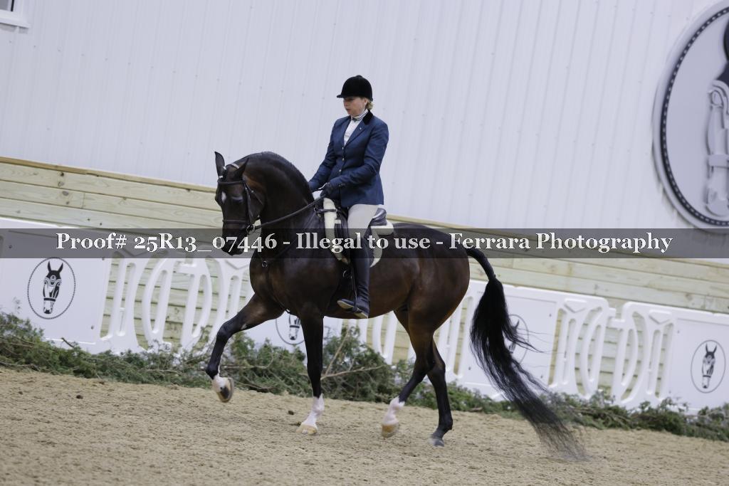 Proof 25R13_07446