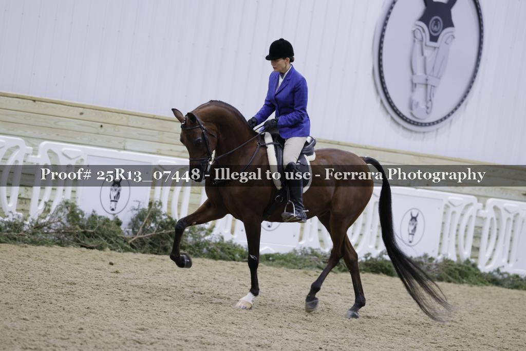 Proof 25R13_07448