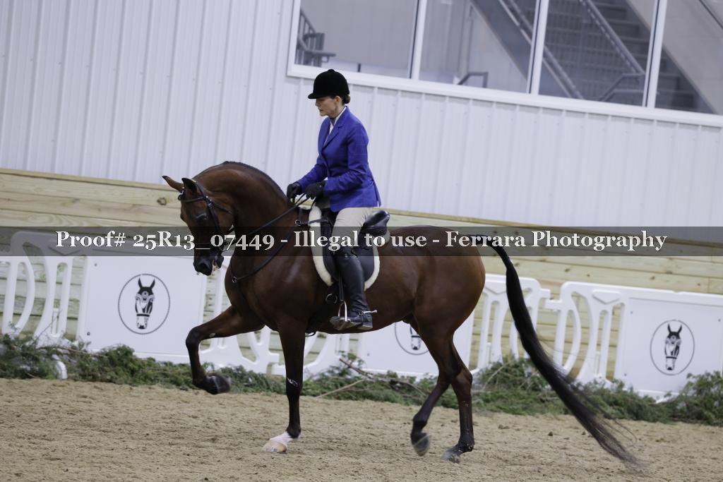 Proof 25R13_07449