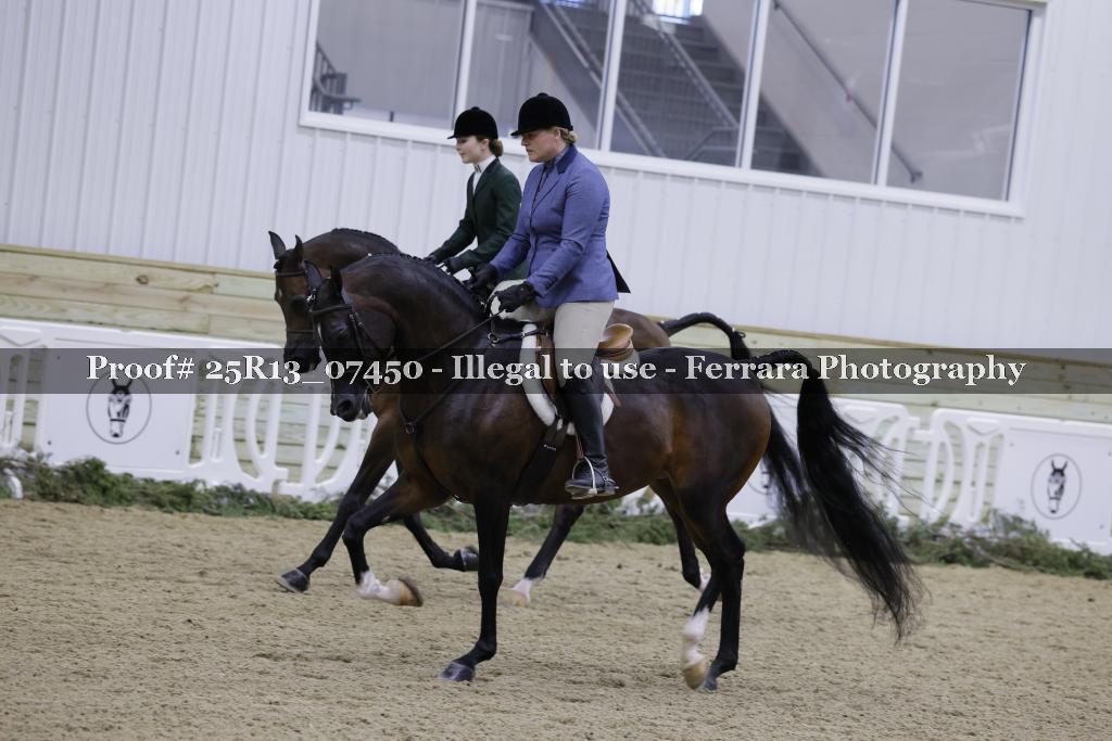 Proof 25R13_07450