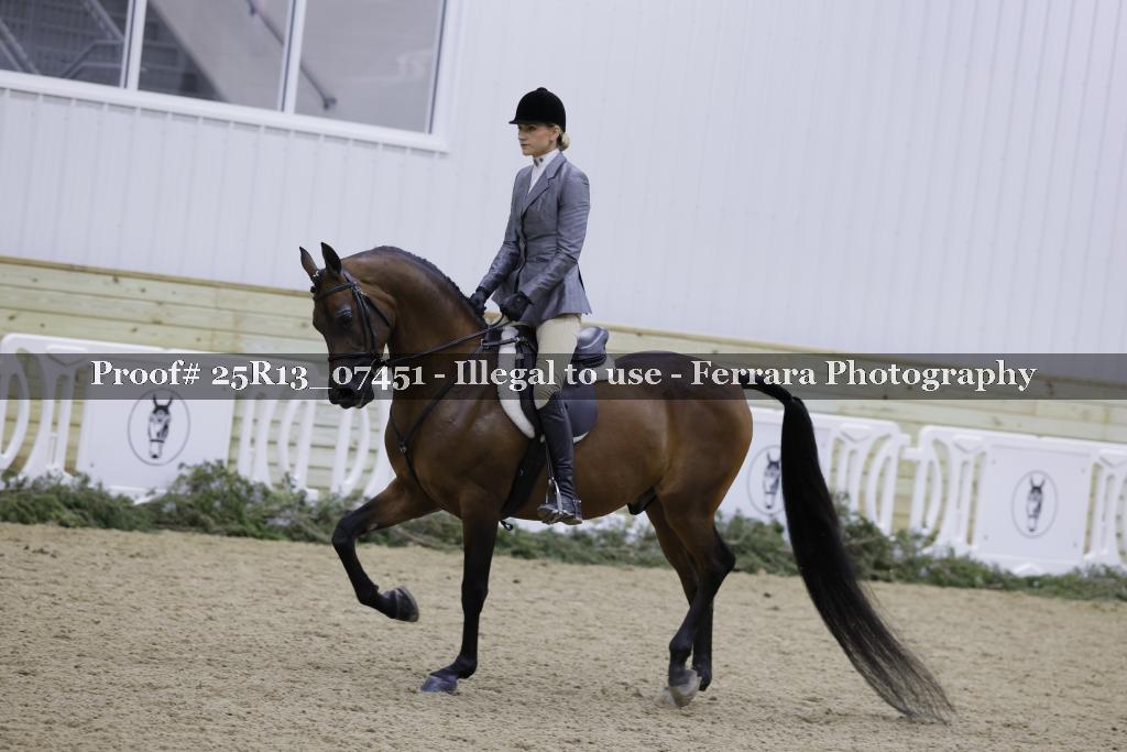Proof 25R13_07451