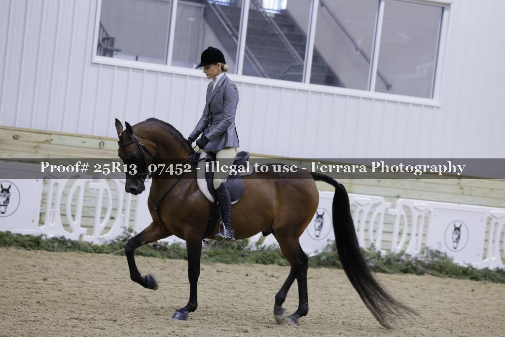 Proof 25R13_07452