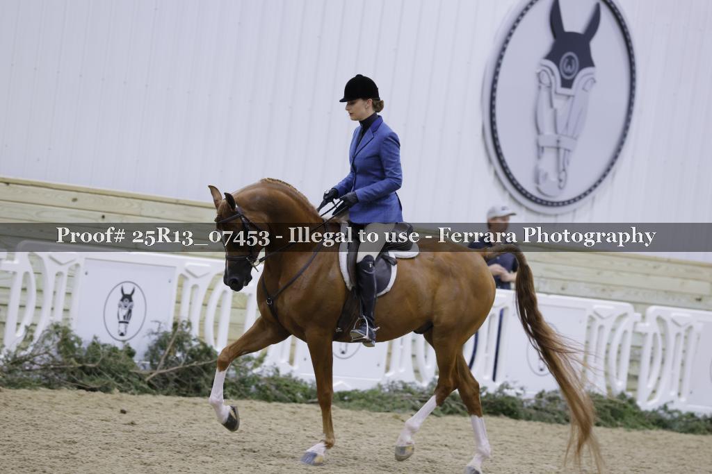 Proof 25R13_07453