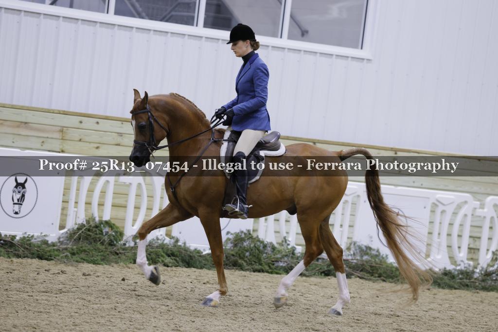 Proof 25R13_07454